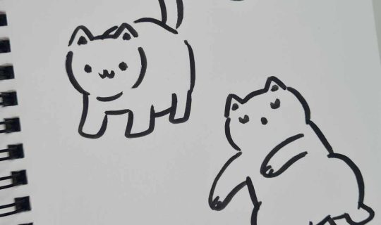 มาวาดน้องแมวทั้ง 9 แบบ 9 ท่ากันค่ะ